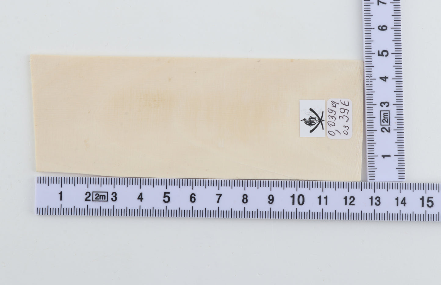 White mammoth ivory segments