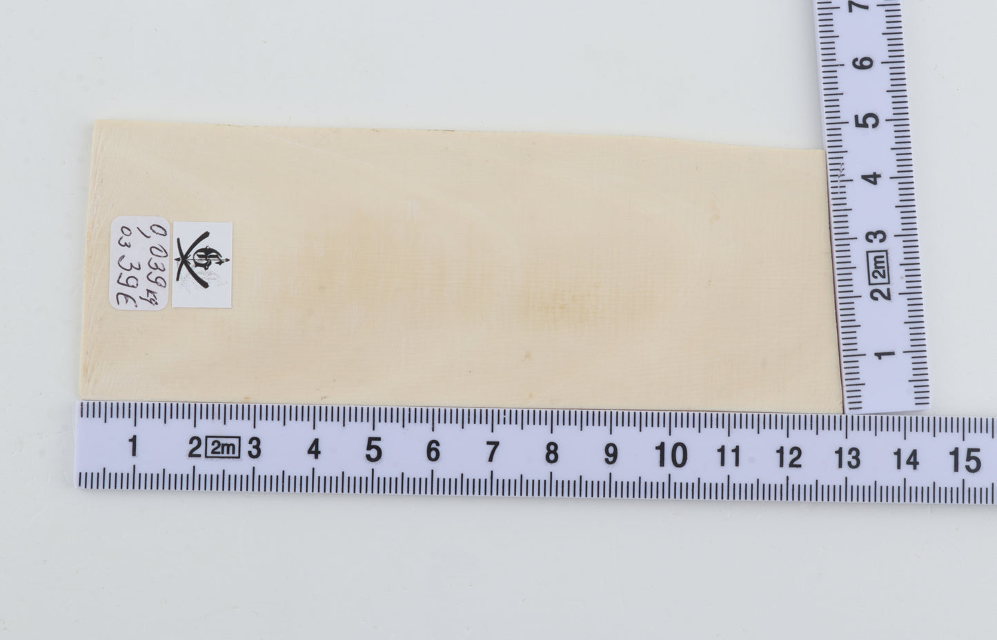White mammoth ivory segments