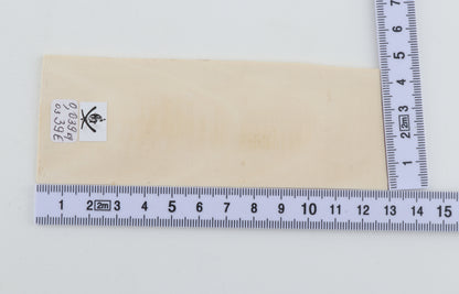 White mammoth ivory segments