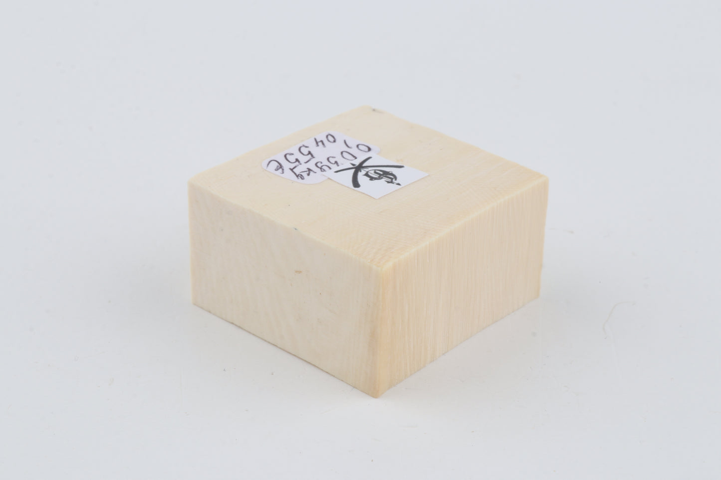 White mammoth ivory segment