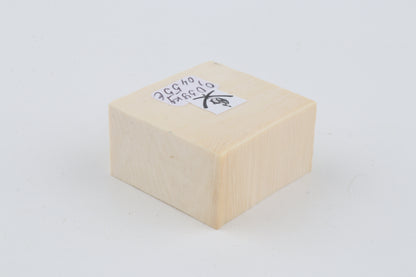 White mammoth ivory segment