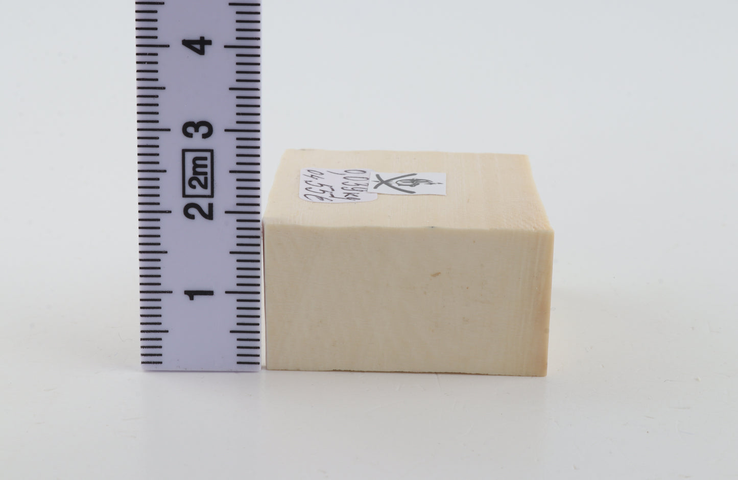 White mammoth ivory segment