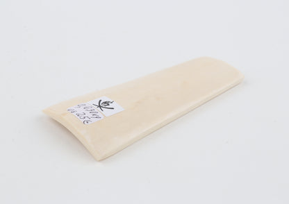 White mammoth ivory segment