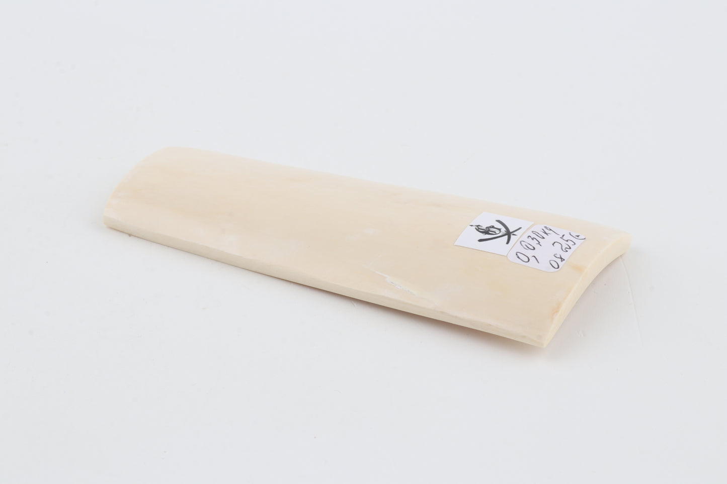 White mammoth ivory segment