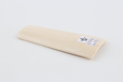 White mammoth ivory segment