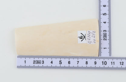 White mammoth ivory segment