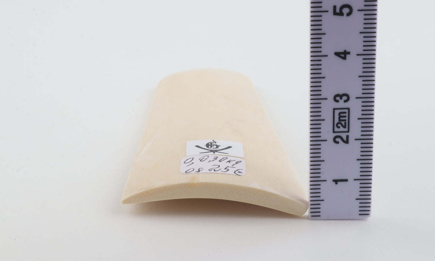 White mammoth ivory segment