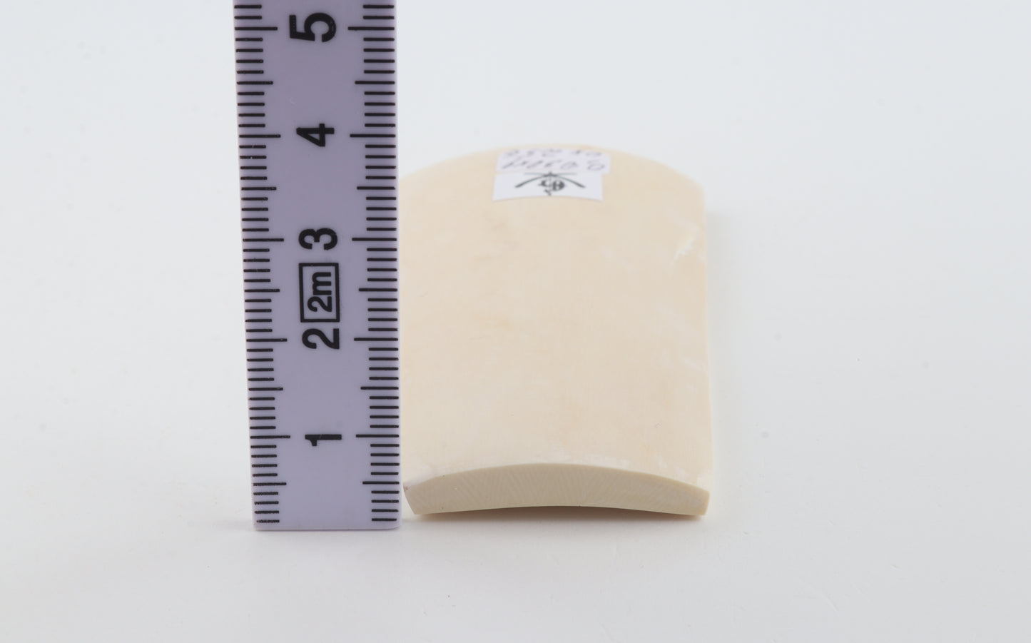 White mammoth ivory segment