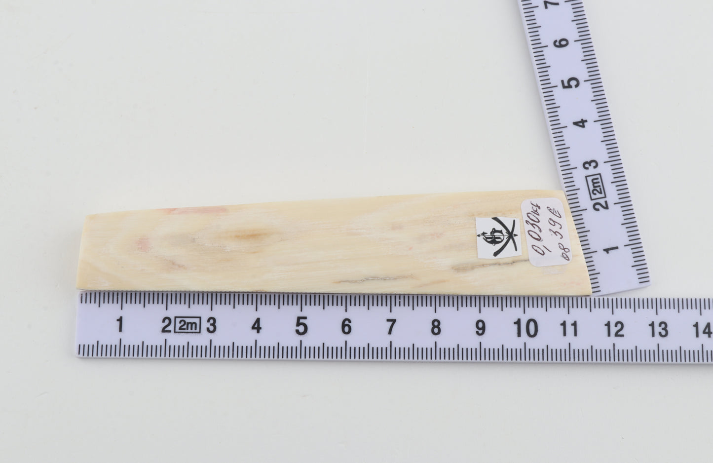White mammoth ivory segment