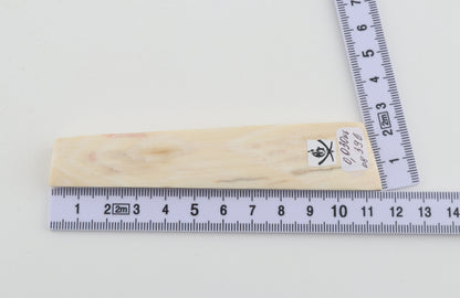 White mammoth ivory segment