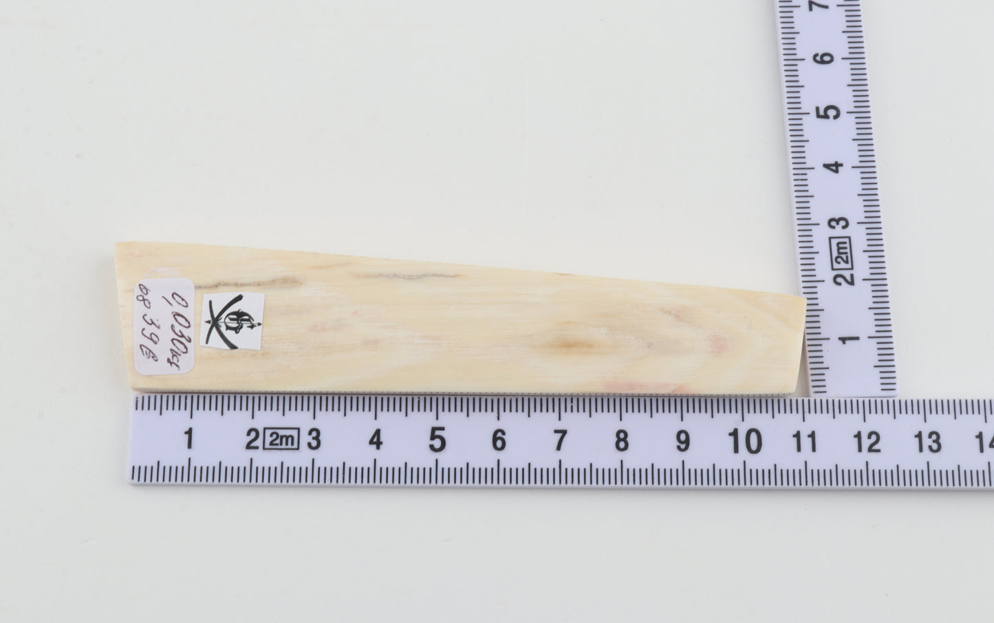 White mammoth ivory segment