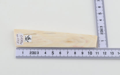 White mammoth ivory segment