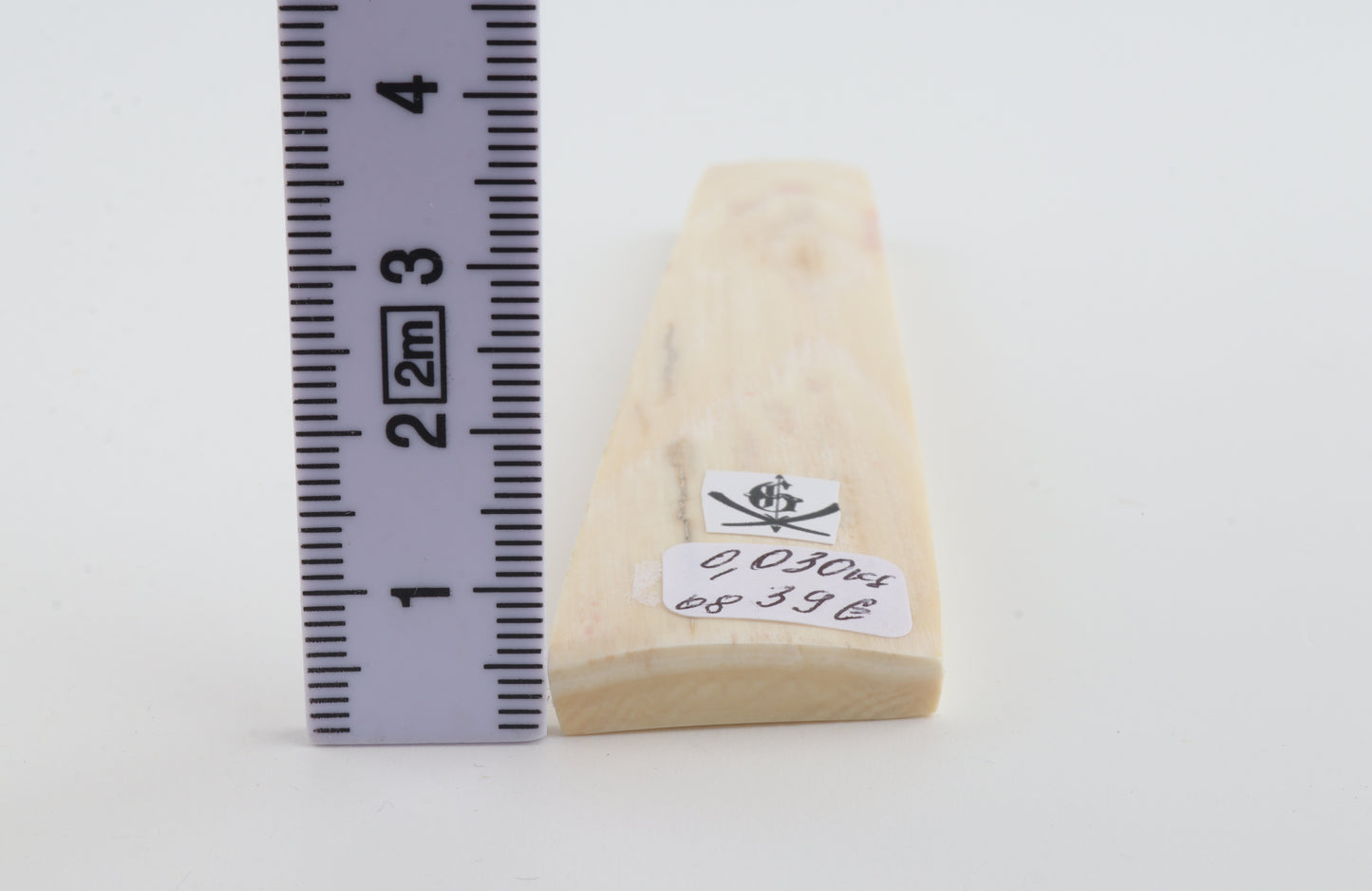 White mammoth ivory segment