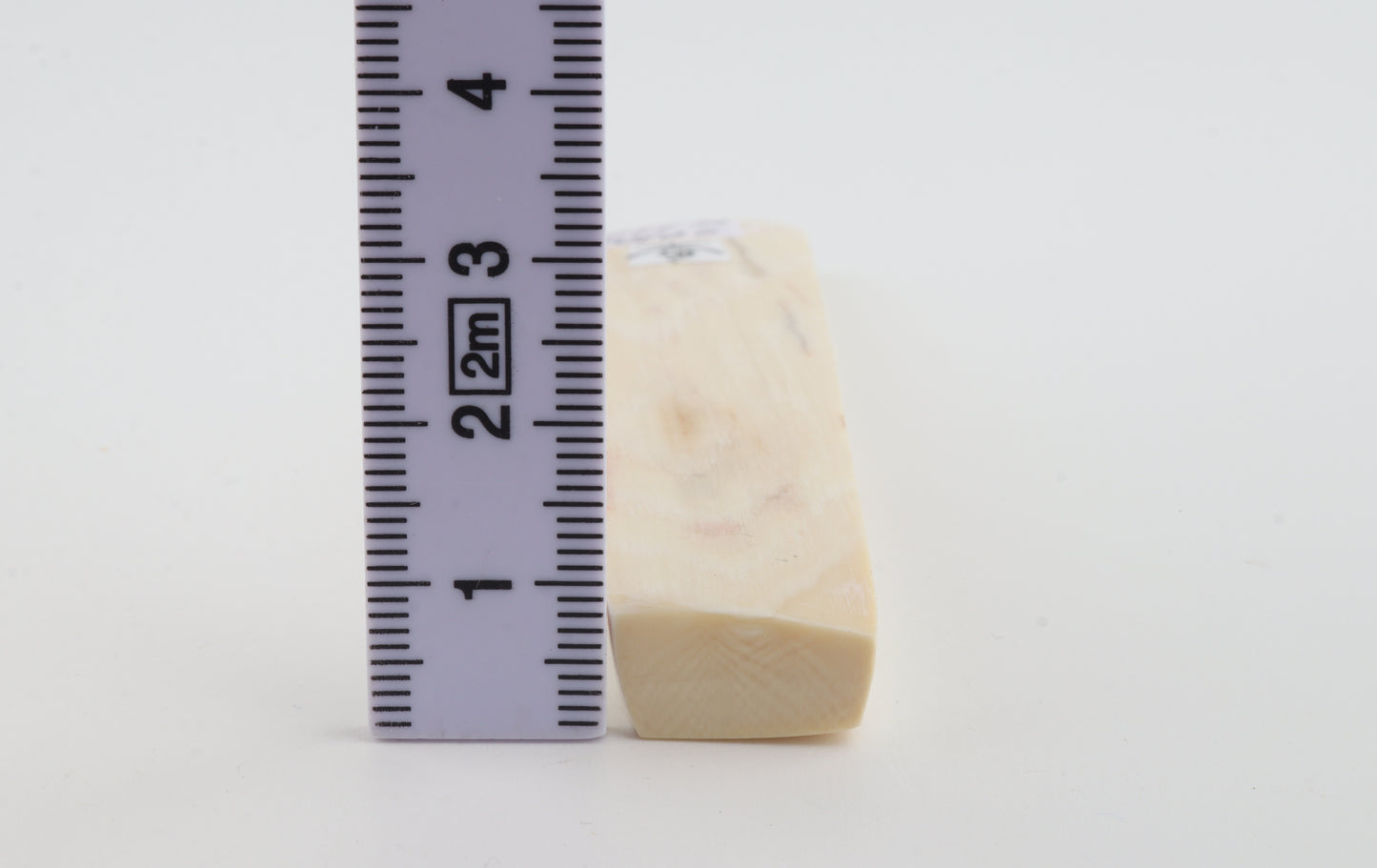 White mammoth ivory segment