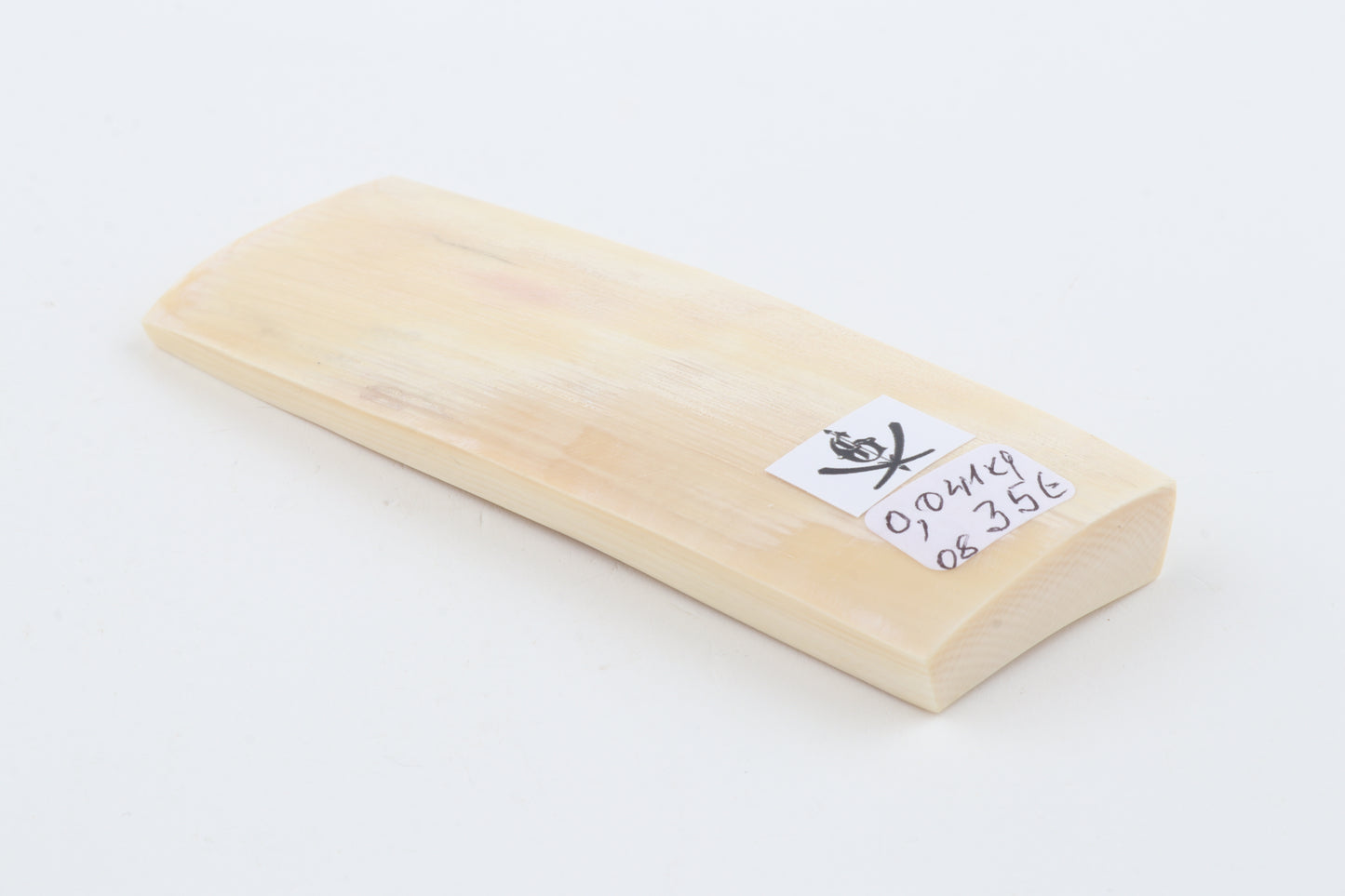 White mammoth ivory segment