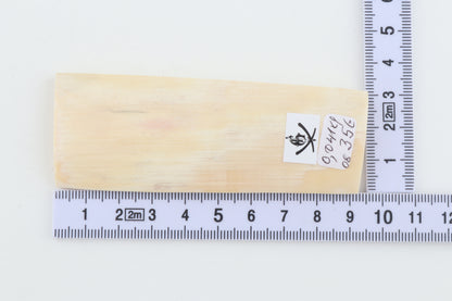 White mammoth ivory segment