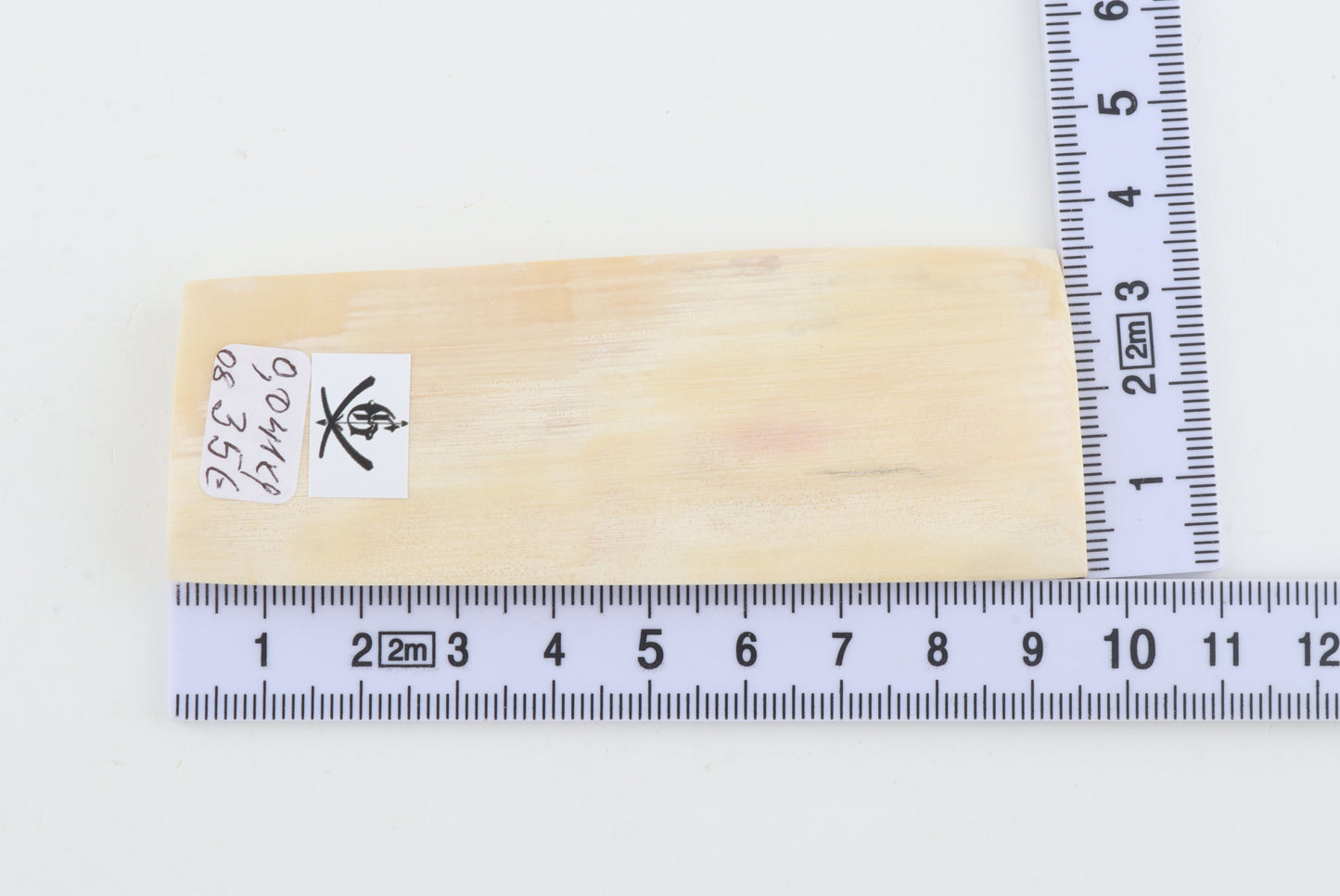 White mammoth ivory segment