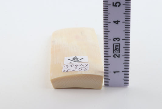 White mammoth ivory segment