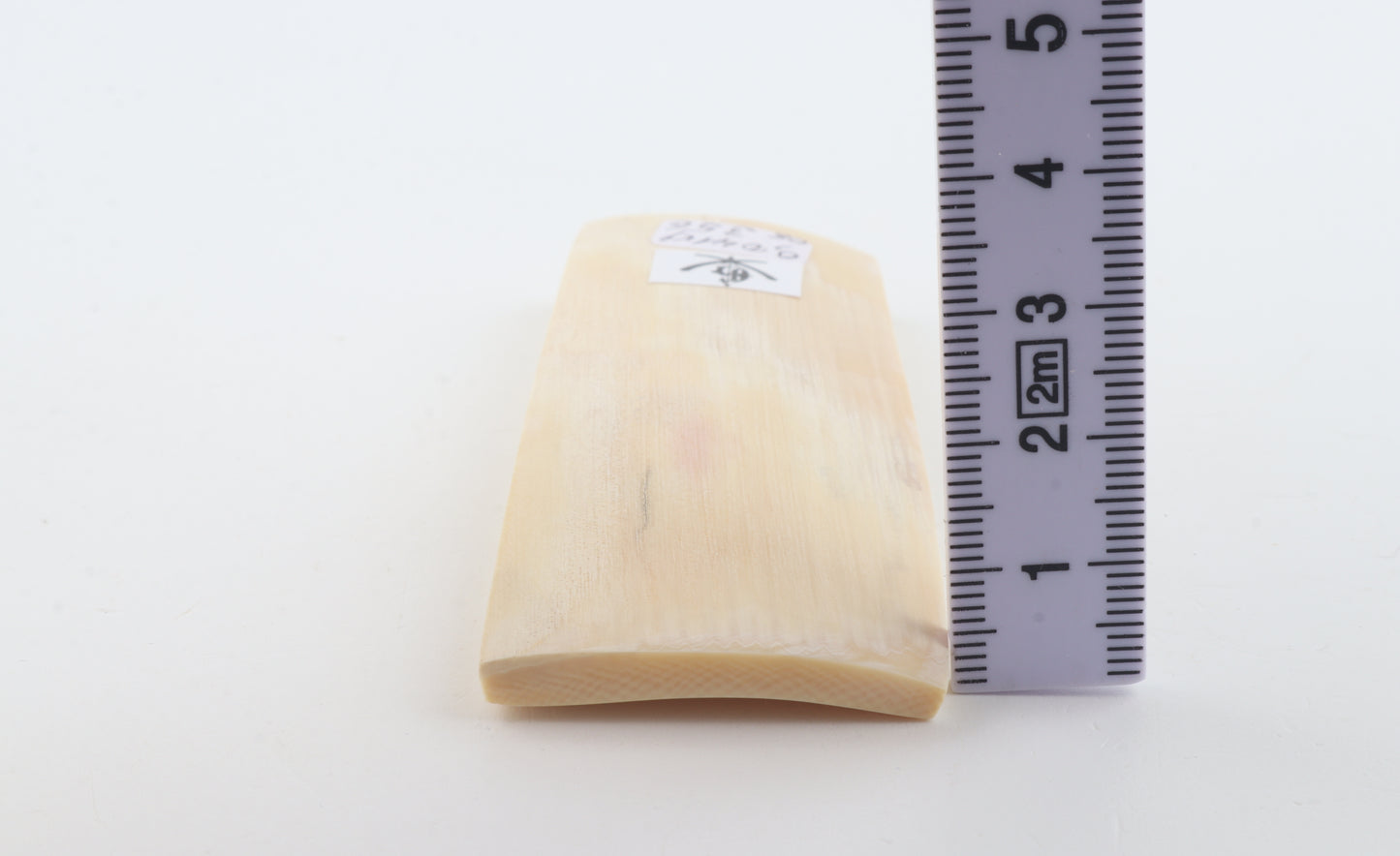 White mammoth ivory segment
