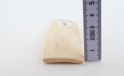 White mammoth ivory segment