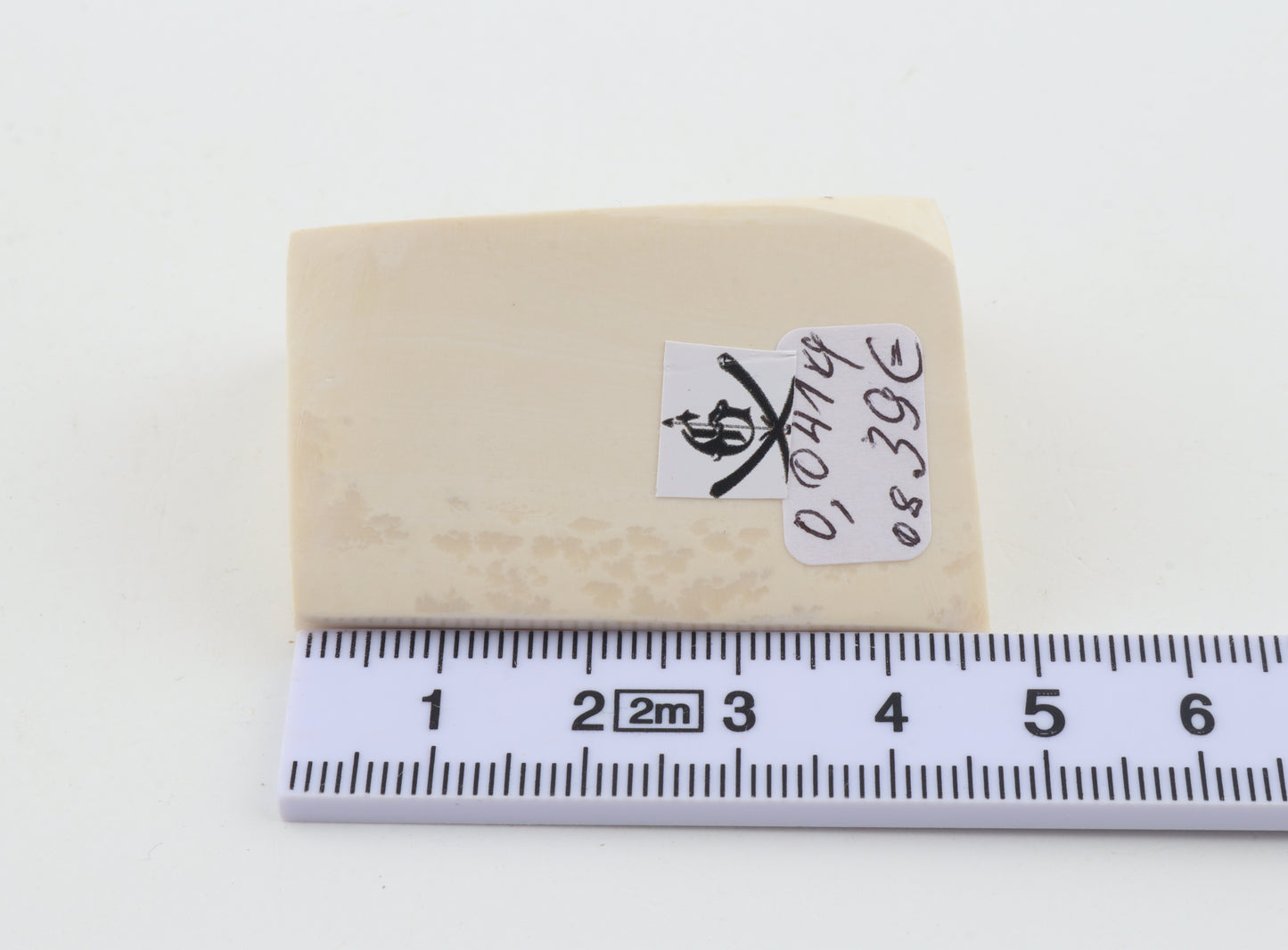 White mammoth ivory piece