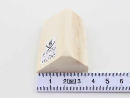White mammoth ivory piece
