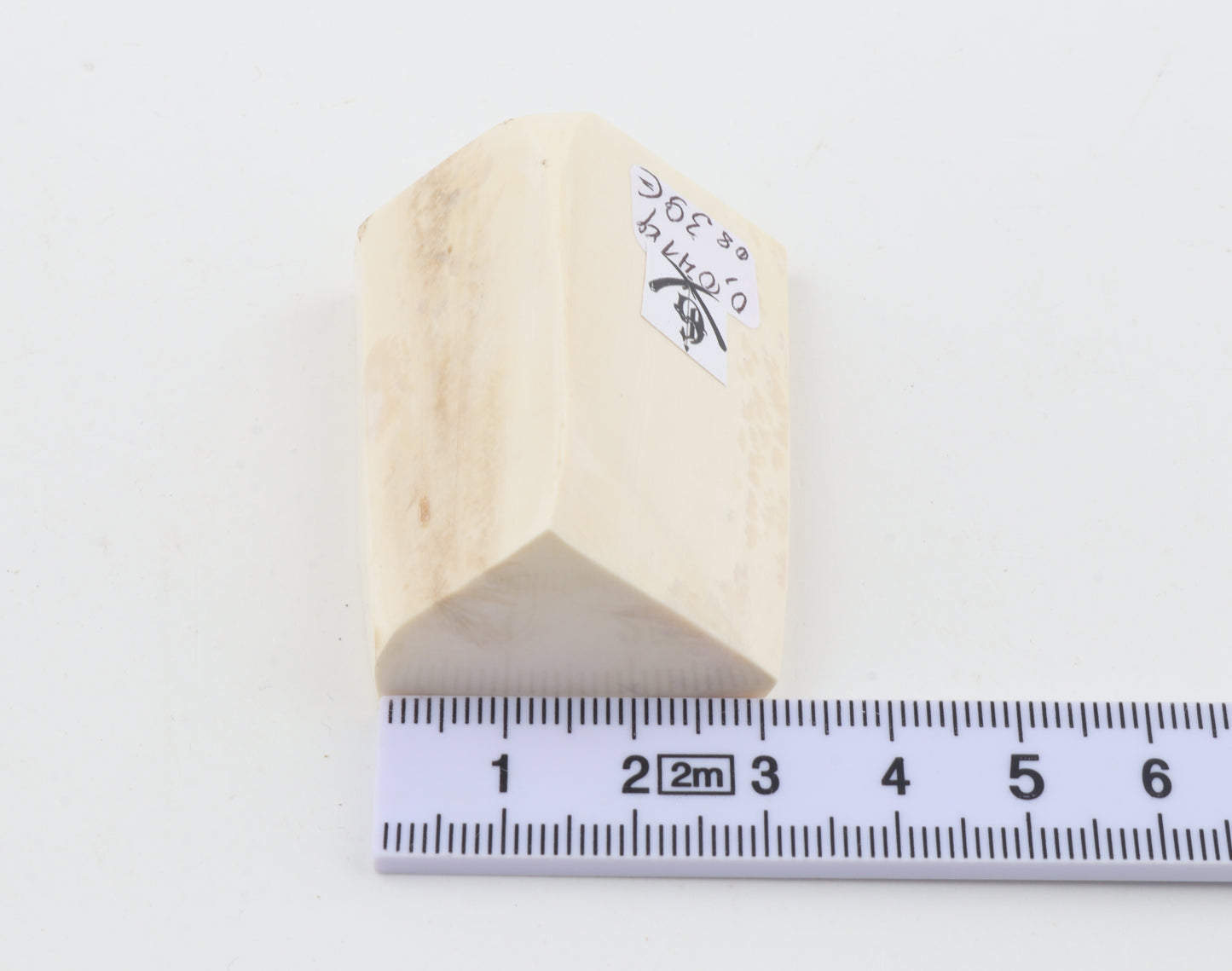 White mammoth ivory piece