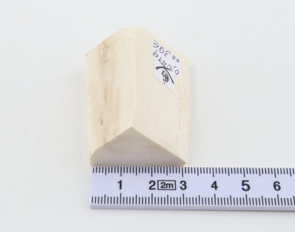 White mammoth ivory piece