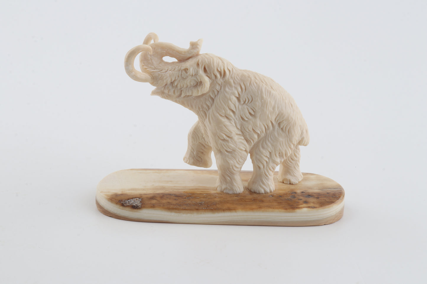 Carved woolly mammoth