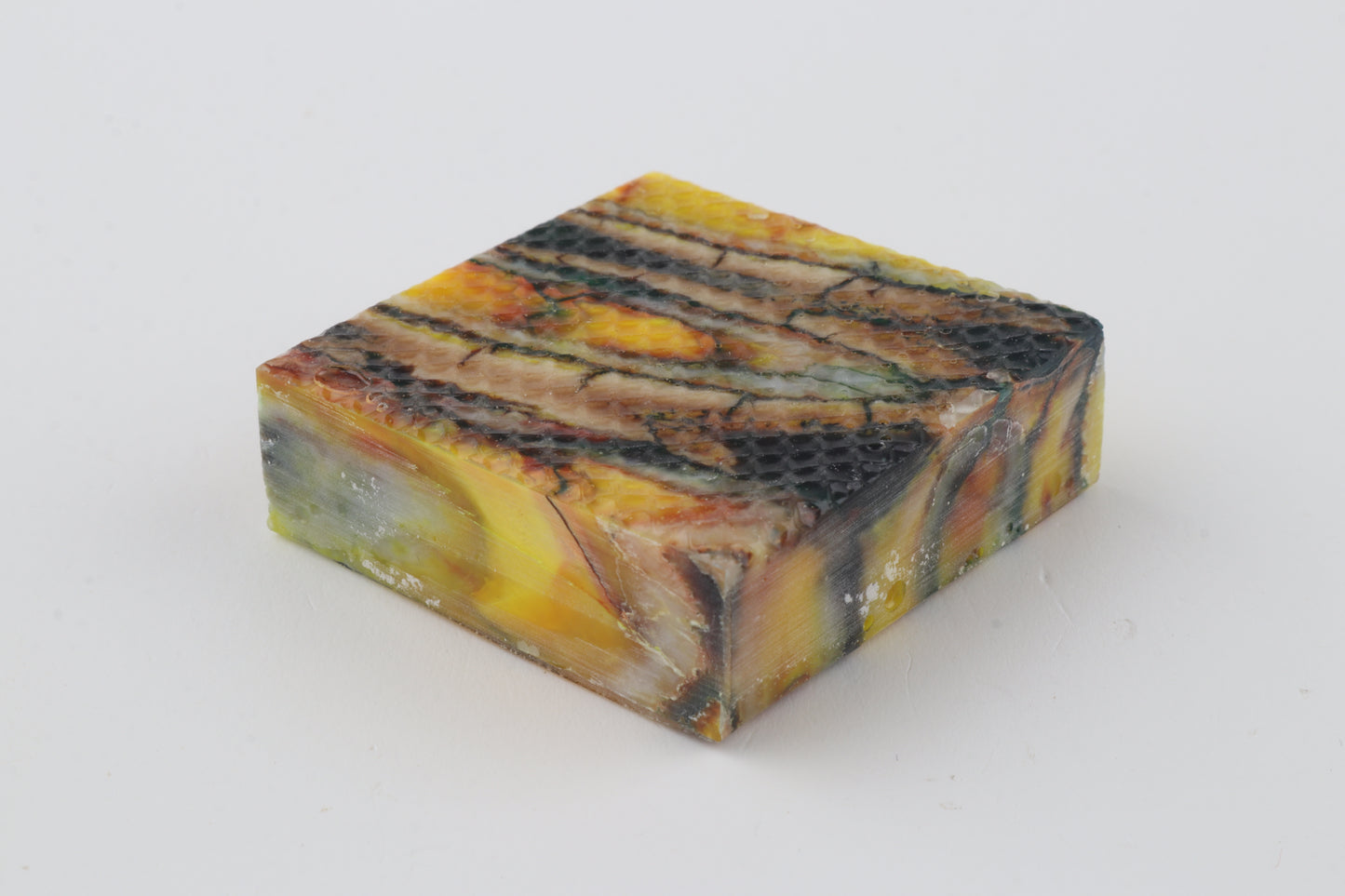 Stabilized mammoth molar piece