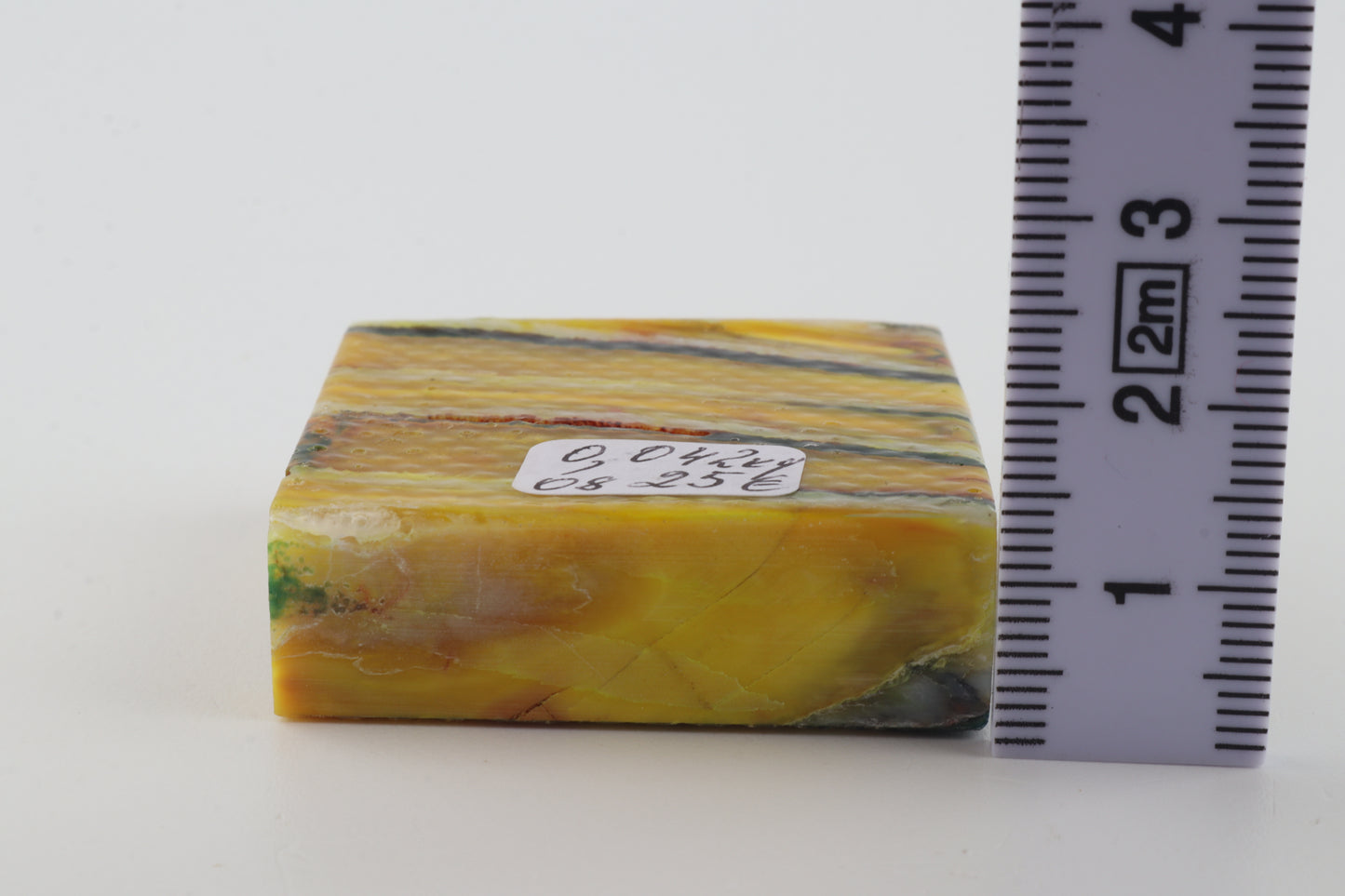 Stabilized mammoth molar piece