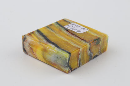 Stabilized mammoth molar piece