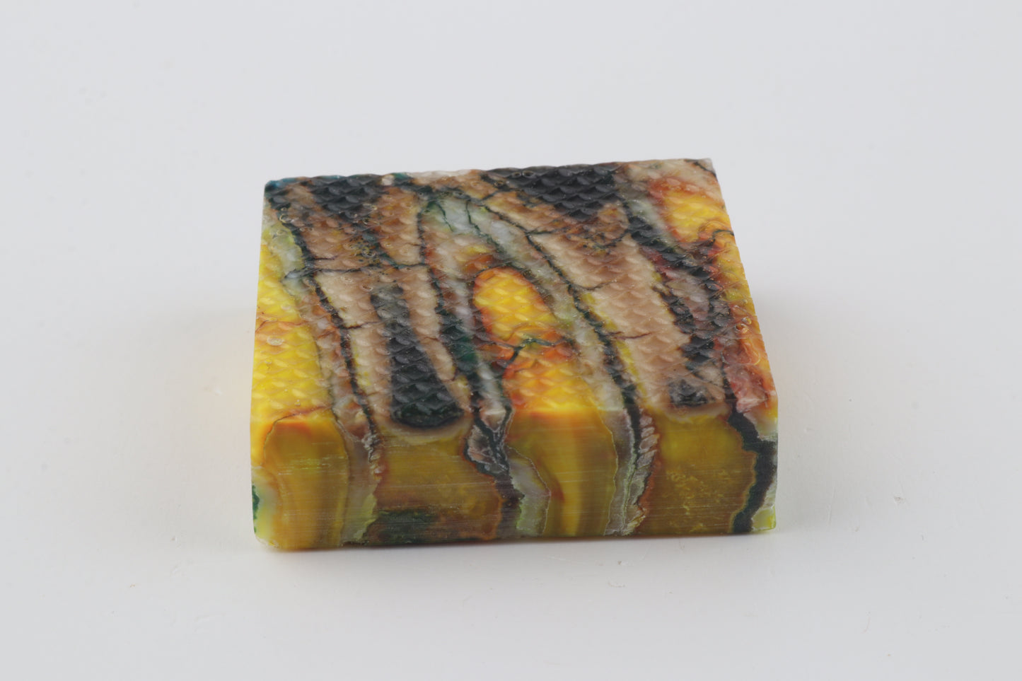 Stabilized mammoth molar piece