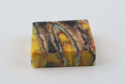 Stabilized mammoth molar piece