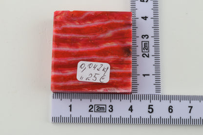 Stabilised mammoth molar piece