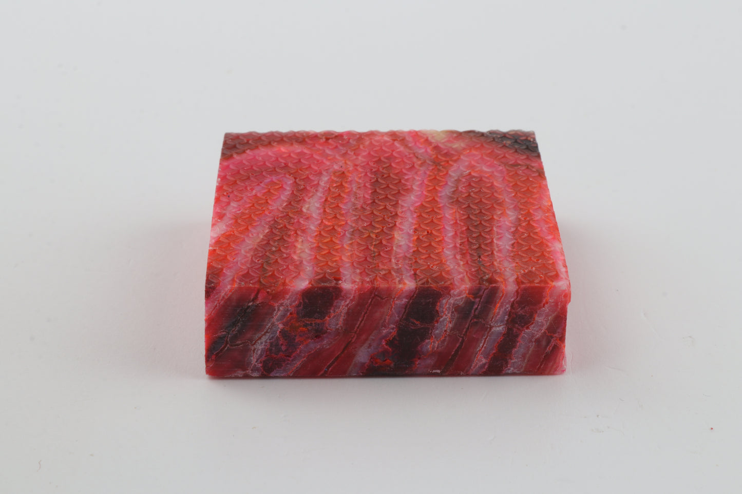 Stabilised mammoth molar piece