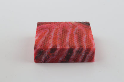 Stabilised mammoth molar piece