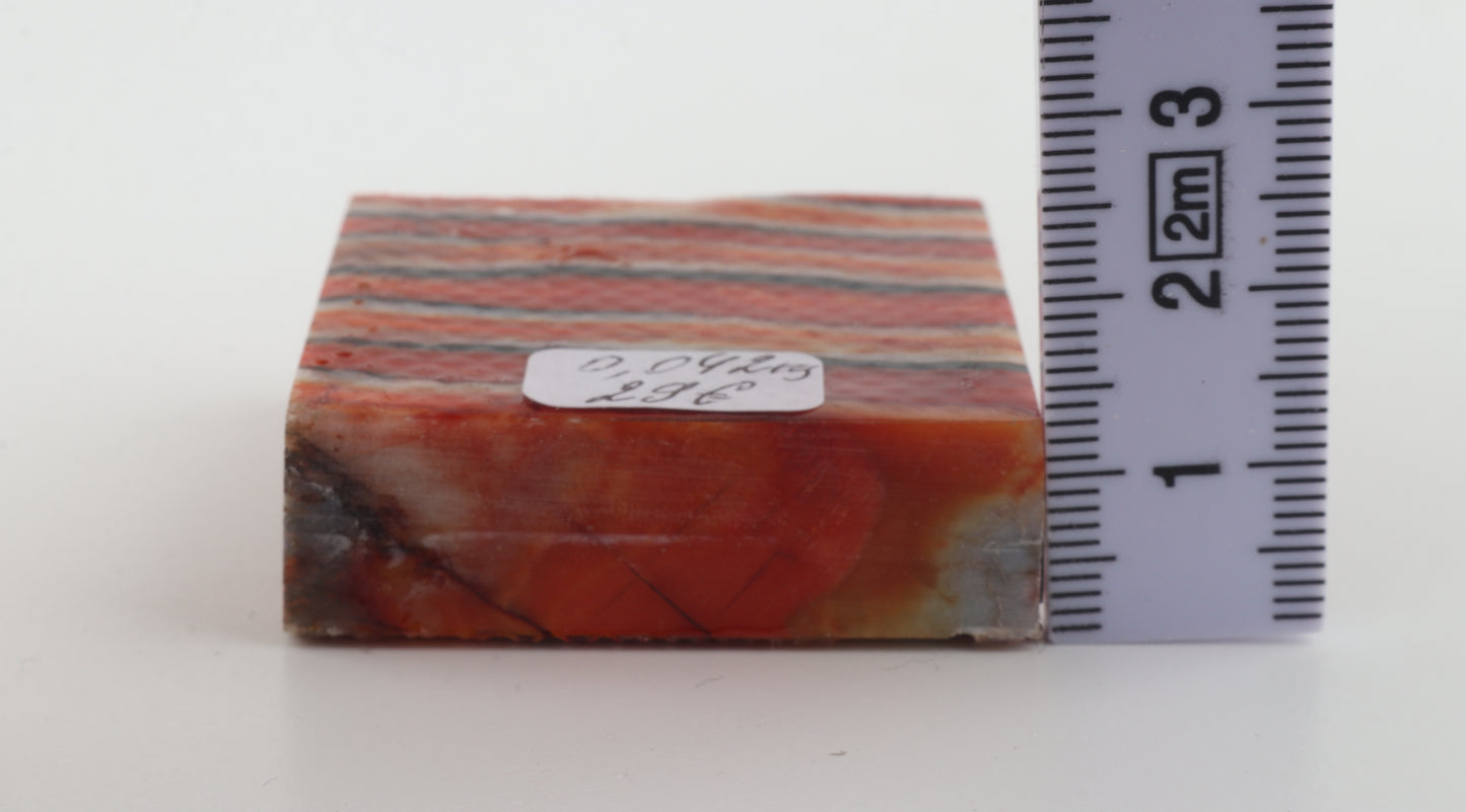 Stabilized mammoth molar piece