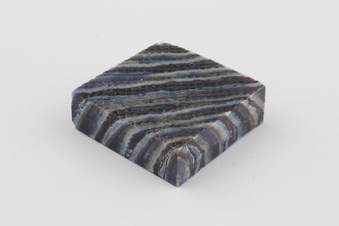 Stabilized mammoth molar piece