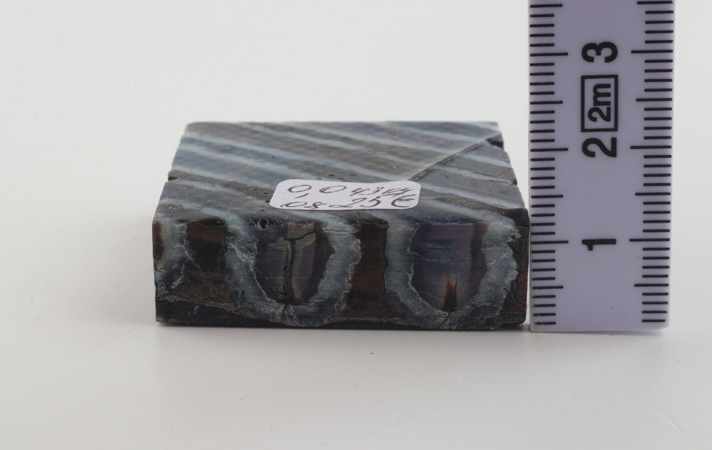 Stabilised mammoth molar piece