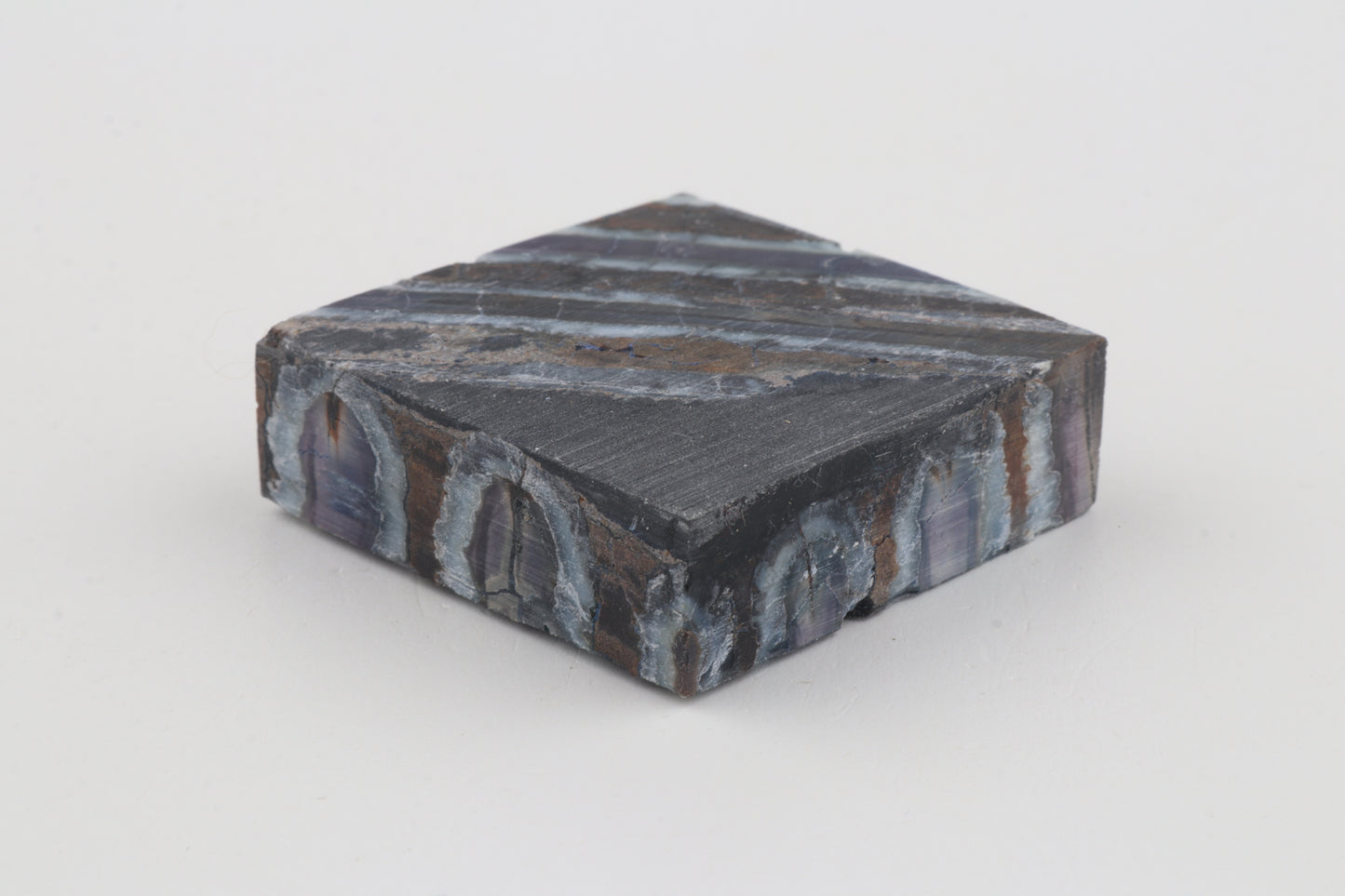 Stabilised mammoth molar piece