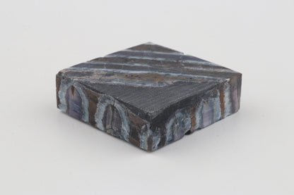 Stabilised mammoth molar piece