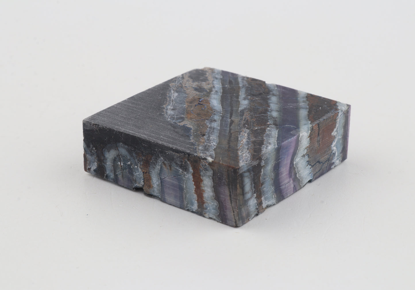 Stabilised mammoth molar piece
