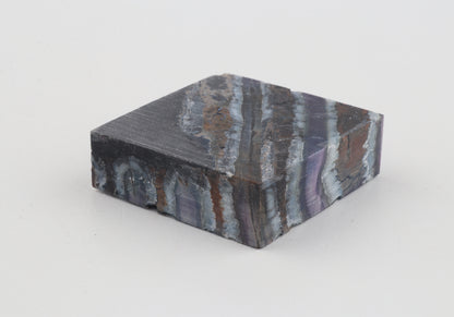 Stabilised mammoth molar piece