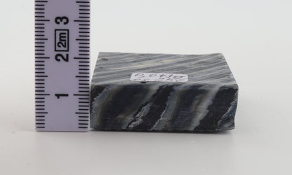 Stabilized mammoth molar piece