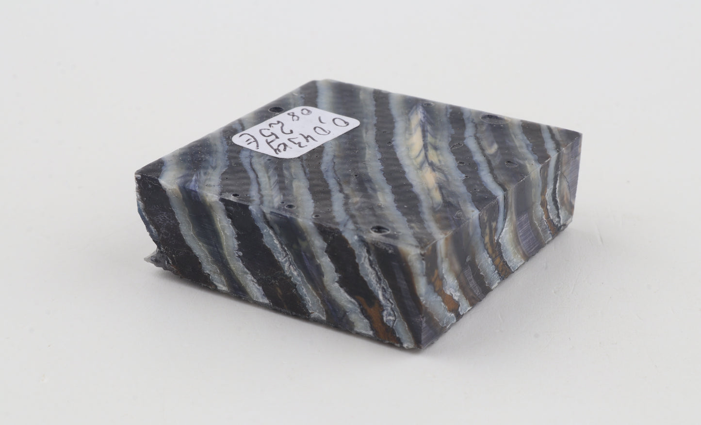 Stabilized mammoth molar piece
