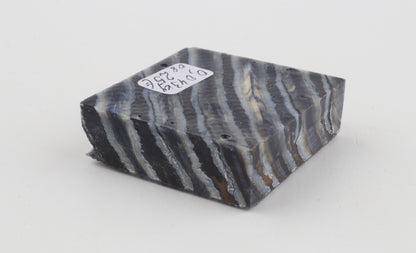 Stabilized mammoth molar piece