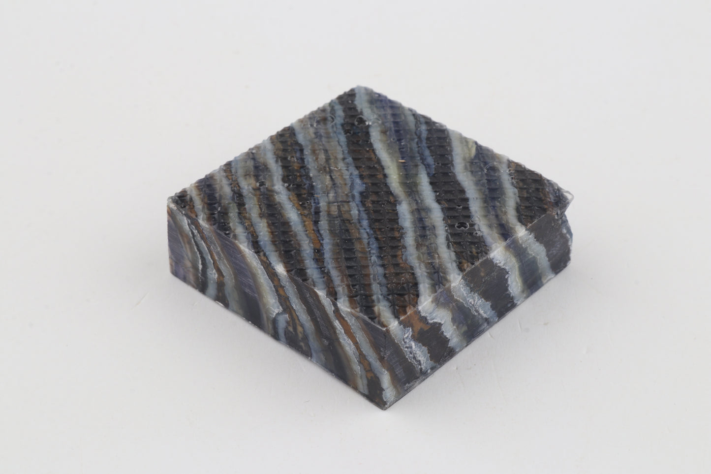 Stabilized mammoth molar piece