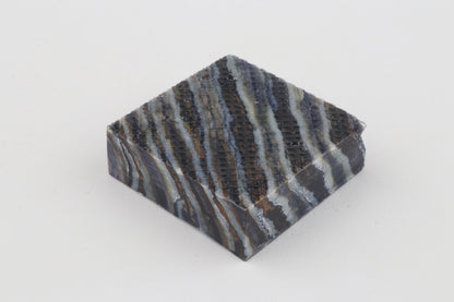 Stabilized mammoth molar piece