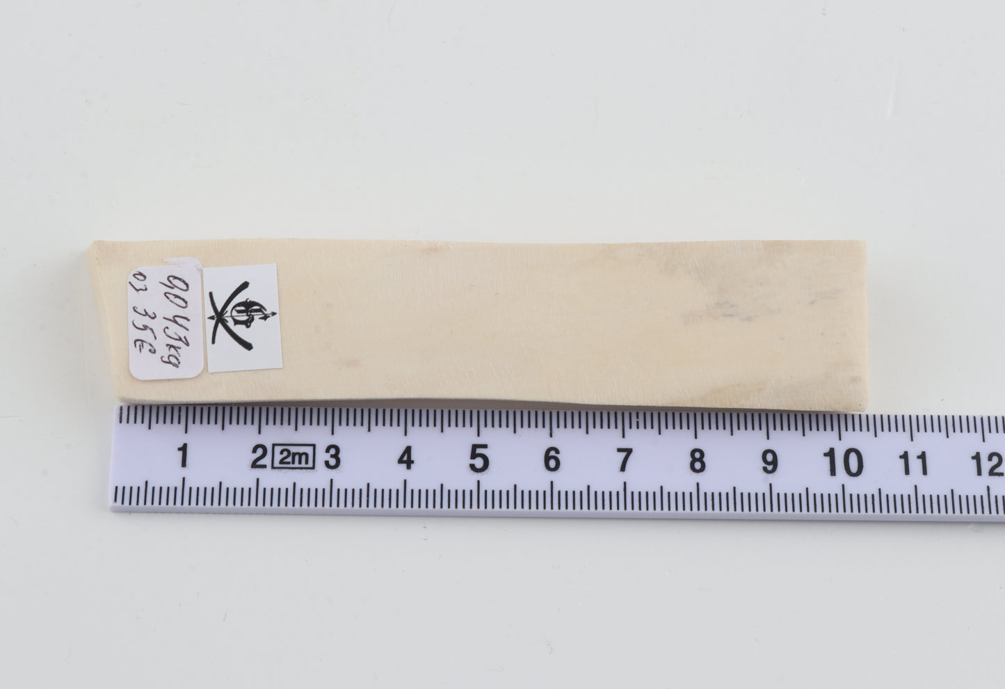 White mammoth ivory segment